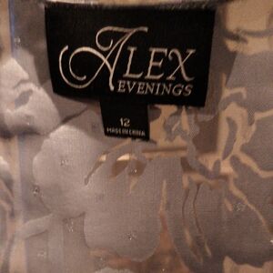 FINAL PRICE NWT Alex Evenings Blue Floral Pattern Dress/Jacket Set Size 12